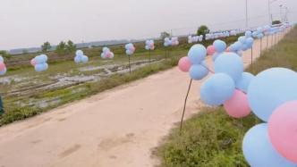 女孩出嫁，娘家人用2000个气球为她布置“花路”
