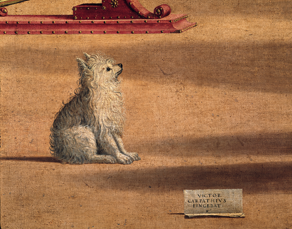 卡尔帕乔笔下的出现在圣奥古斯丁书房的小狗