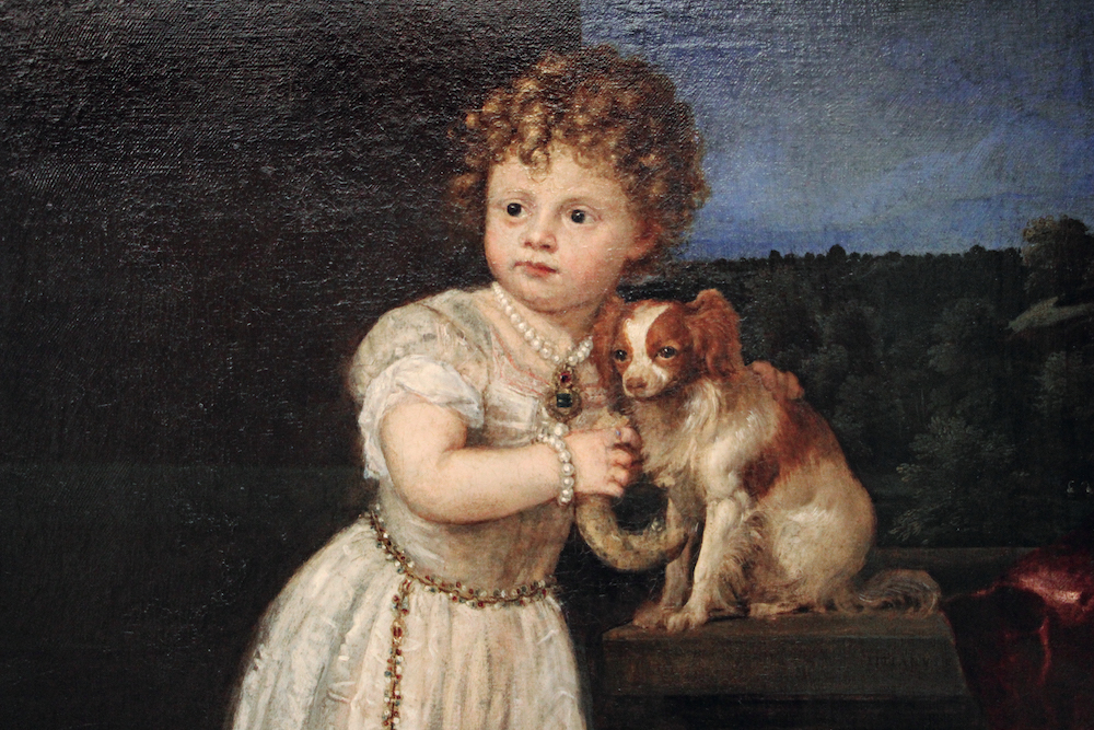 提香为克拉莉丝 · 斯特罗奇（Clarice Strozzi）画的肖像中的小狗