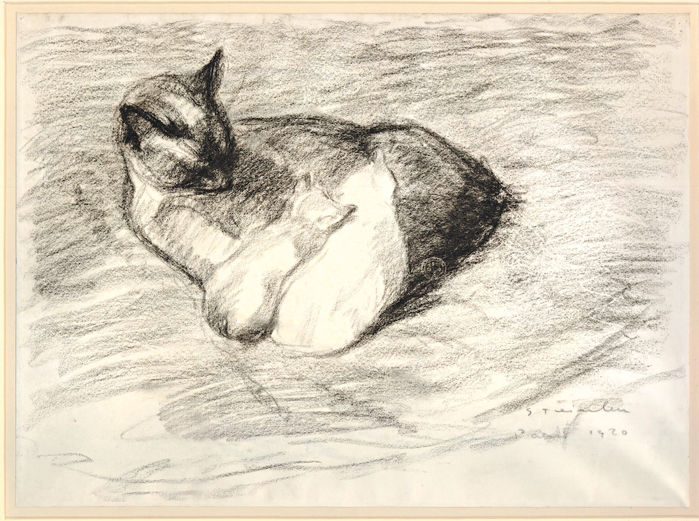 19 世纪晚期法裔瑞士画家斯坦伦（Théophile Alexandre Steinlen）笔下的猫