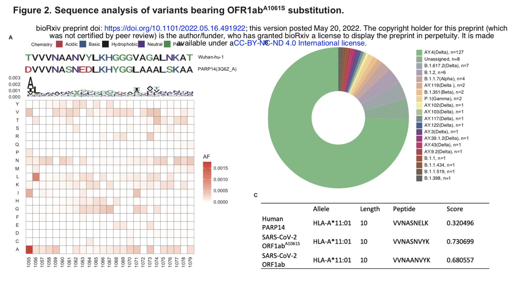 基于OFR1ab^A1061S替换的变异体序列分析。