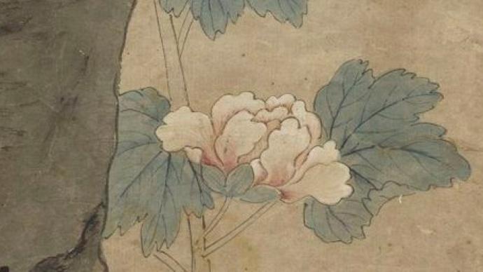 故宫花信｜蜀葵：五尺栏杆遮不尽，尚留一半与人看