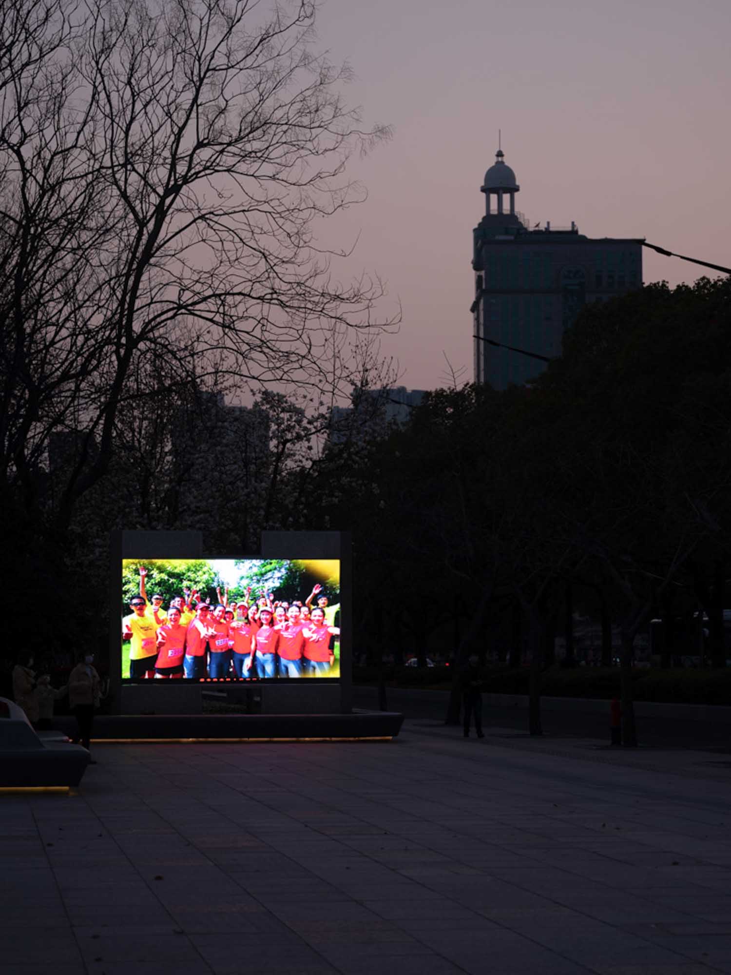 2020年春天，上海公园中的一块大屏。澎湃新闻记者 周平浪 图