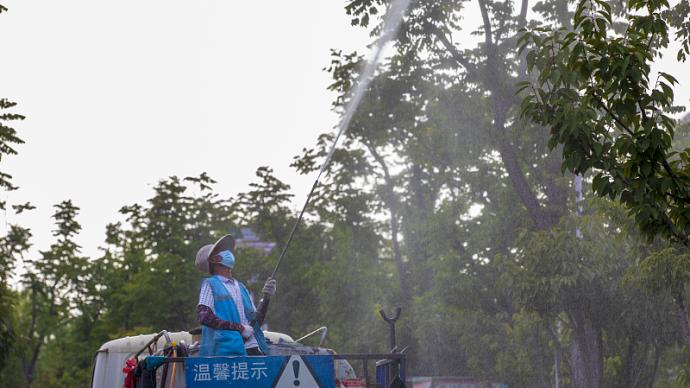 美国白蛾蔓延至中国14省份，九部门部署加强防控