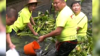 全國輩分最高的龍舟，590歲“鹽步老龍”重現(xiàn)水面
