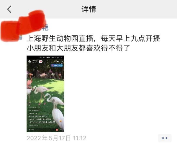 上海野生动物园直播吸引了不少网友