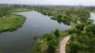 上海浦东19个生态基建项目加快重启，包括滨江森林公园二期等