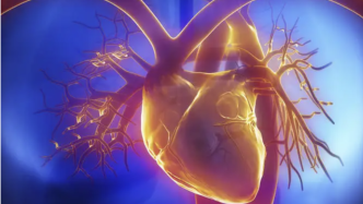 结构性心脏病早期诊断更容易：AI模型可准确识别高危患者