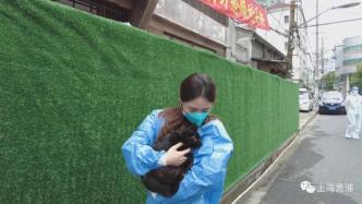 送走最后一批“毛孩子”，上海首個動物方艙關(guān)艙