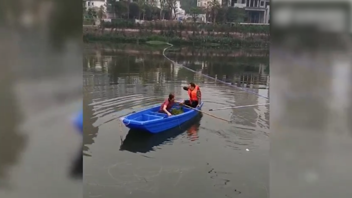 62岁女子纵身一跃救起落水工人