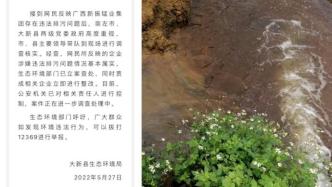 广西新振锰业被指“用溶洞排污”，公安机关已控制责任人