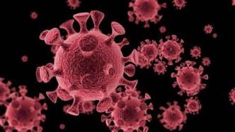 新冠病毒针对单克隆抗体药出现变异进化，需关注免疫低下群体
