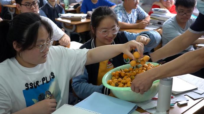 中学采摘300斤自种枇杷送给高三学生：祝他们取得好成绩