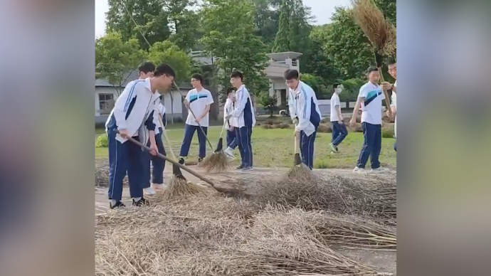 浙江一所中學的學生們種出千斤菜籽，榨300斤油送食堂