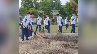 浙江一所中学的学生们种出千斤菜籽，榨300斤油送食堂