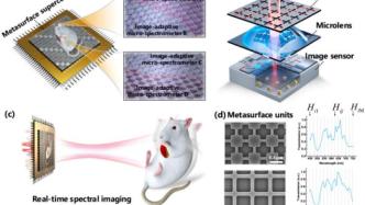 清华电子系崔开宇等研制出国际首款实时超光谱成像芯片