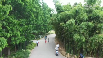 重启在六月丨上海辰山植物园恢复开放：游客们收到一份小惊喜
