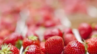 美草莓涉疫，海关总署：今年以来中国未进口美国新鲜草莓