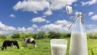光明乳业拟约25亿元投建滁州定远牧场群项目，年产鲜奶26万吨