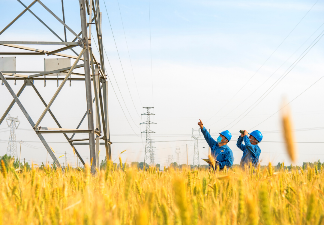 国网山东电力员工在高温大负荷时段巡视输电线路