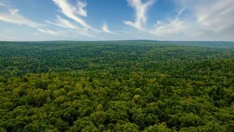 国家林草局、国家统计局联合开展森林资源价值核算试点工作