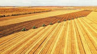 农业农村部：土地承包经营权可在本集体经济组织的农户间转让