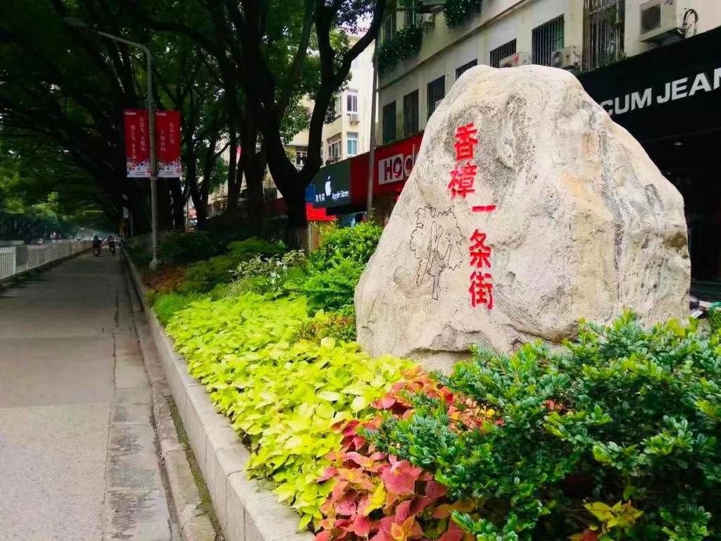 上海闵行向居民发“核酸检测纪念卡”，印在卡上的照片有故事