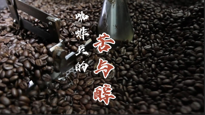 再次出发！上海浦东一咖啡豆烘焙工作室正逐步走出疫情困境
