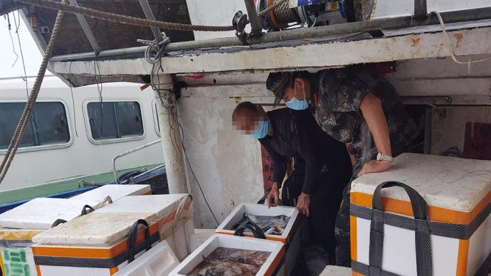 渔船休渔期非法收购，泉州海警局现场抓8人、查扣渔获三千公斤