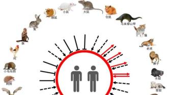 美国CDC旗下刊物：泰国报告1例新冠病毒疑似猫传人病例