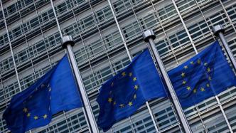 美媒：欧委会将建议给予乌克兰欧盟候选国地位，但决定权在欧理会