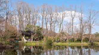 上海植物园明天9时起恢复部分开园，建议市民提前线上预约
