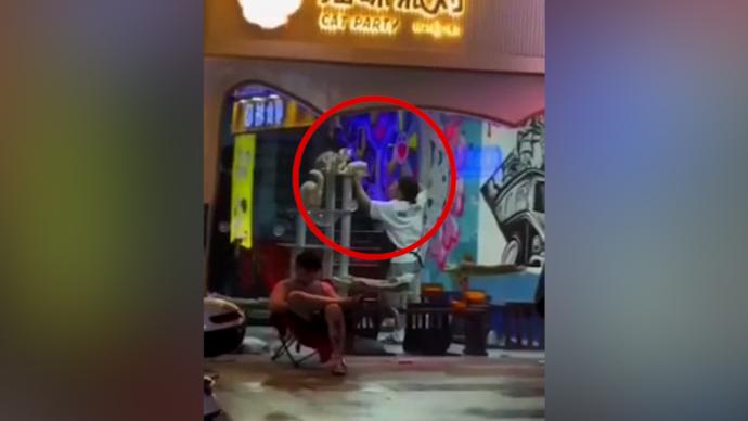 貓咖員工虐貓?zhí)崞饋?lái)腳踹，商家回應(yīng)已開(kāi)除