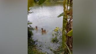发现4名小男孩下河游泳，路过女子“呵斥”他们上岸