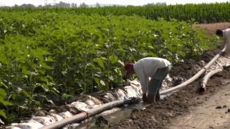 “一带一路”合作项目造福土耳其农民：增加就业，缓解用水难