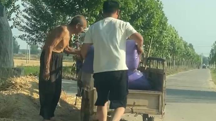 路遇駝背老人收麥子,小伙主動幫裝車