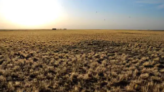 内蒙古全区干旱面积近五成，未来五天部分地区旱情有望缓解