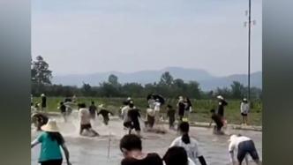 农学生实训期间开展水田趣味运动会，网友：隔屏幕感受到快乐