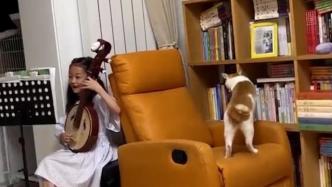 小女孩练琴，猫咪用尾巴“打节奏”完美卡点