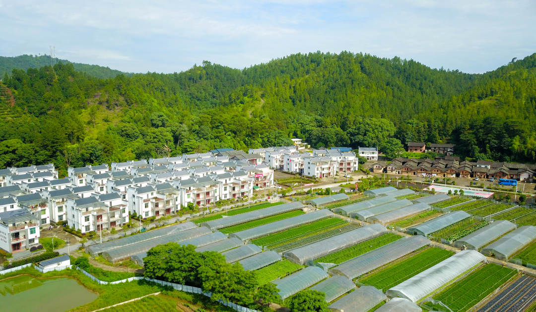 赣南苏区振兴发展十周年巡礼②红土蝶变绽新颜