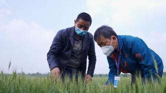 父子接力，用新科技探索現(xiàn)代農(nóng)業(yè)的新范式