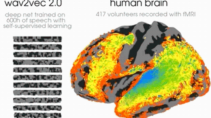 研究發現AI深度學習也有類似“前額葉皮層”，楊立昆點贊