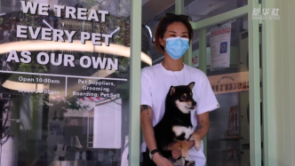 疫情下的宠物店：新店刚开遇封控，上海复工后正逐渐好起来