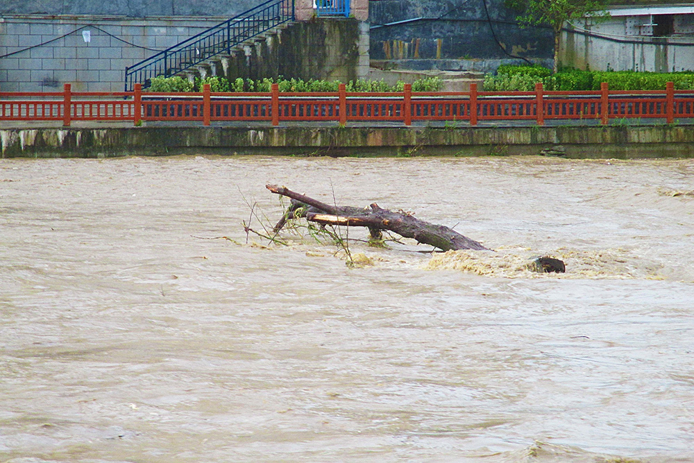 2022年6月24日，安徽安庆，岳西县衙前河水位暴涨，河道两侧部分植物被洪水淹没。吴均奇/人民视觉 图