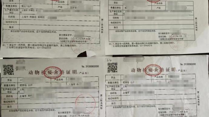 为省时间和成本，上海一养鸡场经营者让女儿伪造检疫证明被查