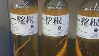 “一整根”人參水順利出圈，是熬夜神器還是智商稅？
