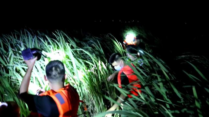 2名游客夜间被困海边浅滩，上海海警深入芦苇荡紧急救援