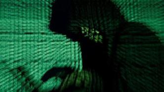 俄黑客组织宣布为立陶宛网络攻击事件负责：报复“对俄禁运”