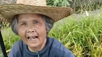 收割机司机免费帮八旬老人收割水稻：老人攒一点钱不容易