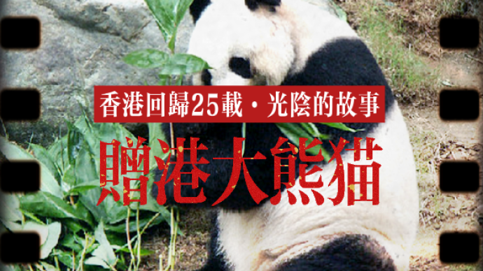 香港回归25载·光阴的故事｜赠港大熊猫